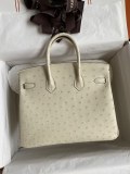 Hermes Birkin
