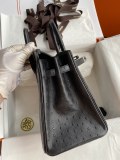 Hermes Birkin