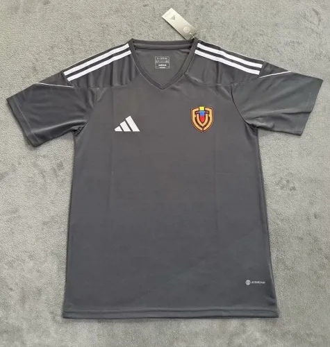 25-26 Venezuela Gray Special Edition Fans Soccer Jersey