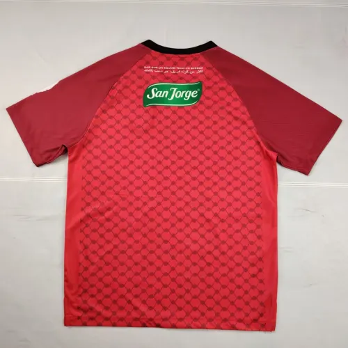 25-26 Palestine Special Edition Fans Soccer Jersey
