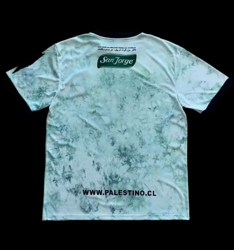 2024 Palestine Fans Version Soccer Jersey