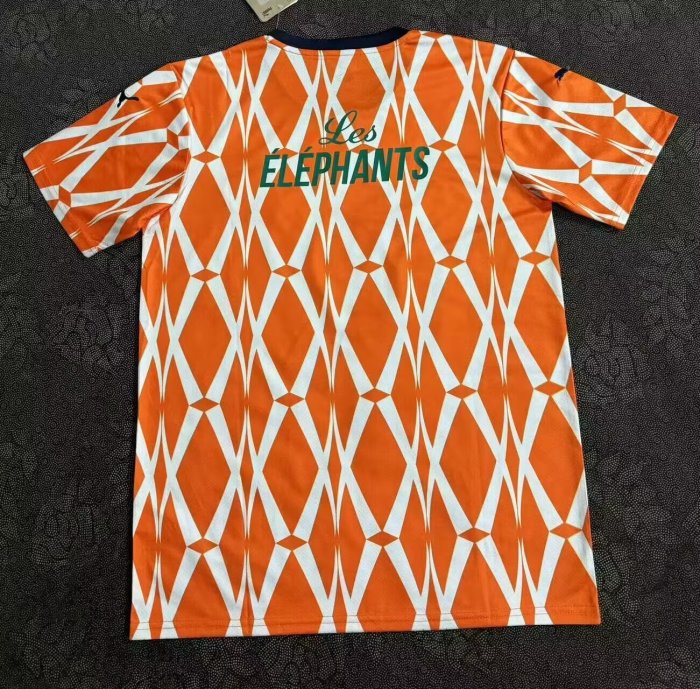 23-24 Cote d'Ivoire Special Edition Fans Version Soccer Jersey
