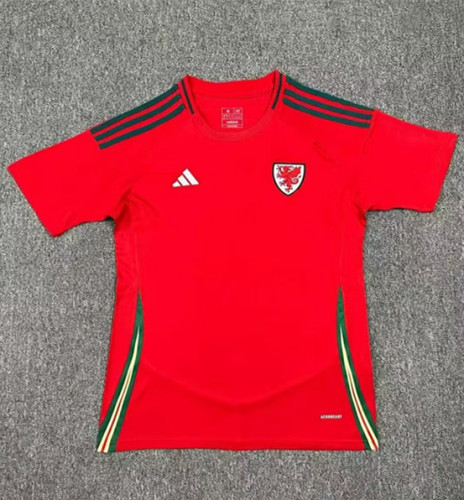 2024 Wales European Cup Home Fans Version Soccer Jersey