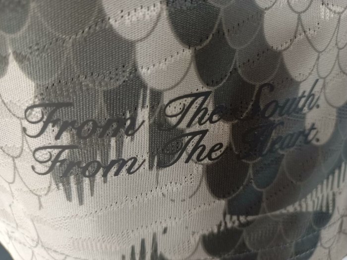 25-26 Bayern Grey Special Edition Player Version Training shirts