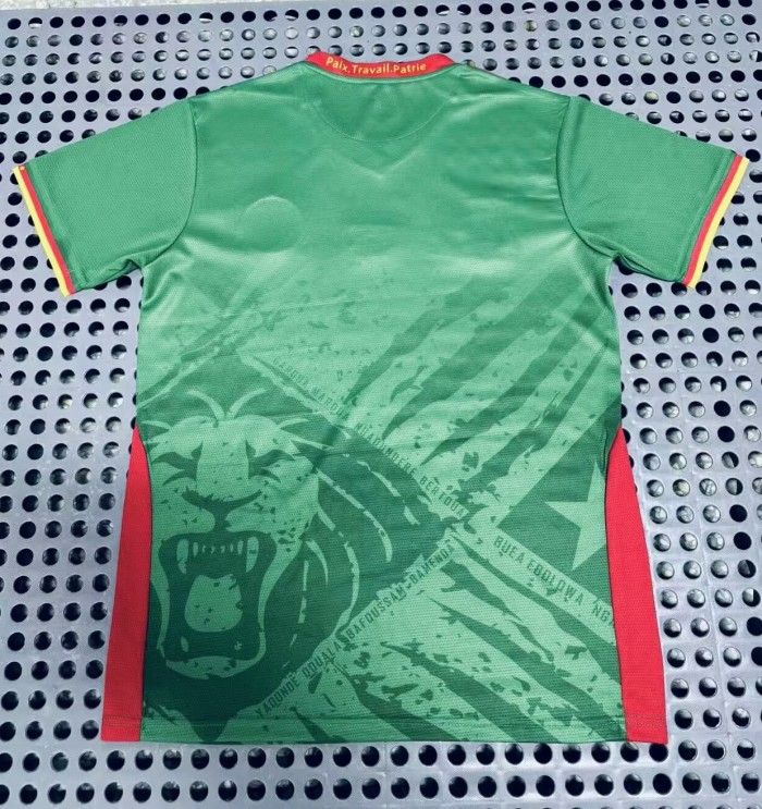 25-26 Cameroon Home Fans Soccer Jersey