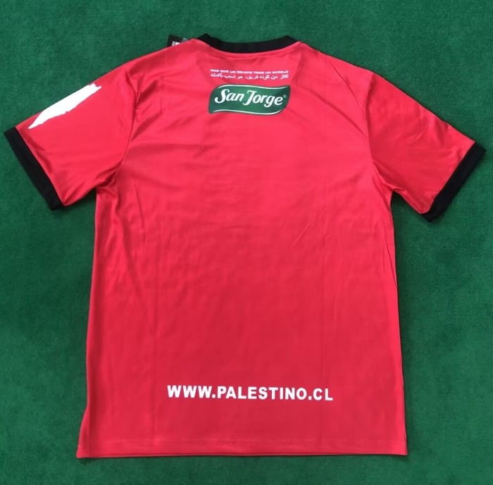2024 Palestine Fans Version Soccer Jersey