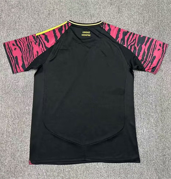 2024 Peru Away Fans Soccer Jersey