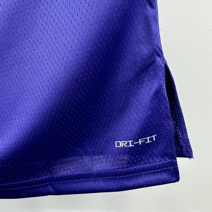 24-25 Lakers Top Quality Hot Pressing NBA Jersey