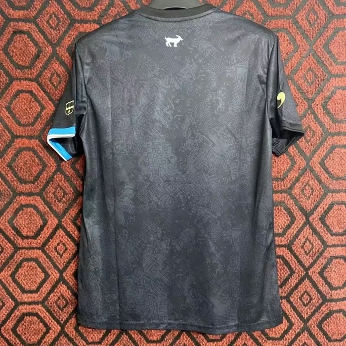 2024 Argentina Special Edition Fans Soccer Jersey