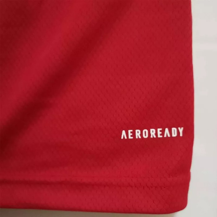 21-22 Chile Home Fans Soccer Jersey