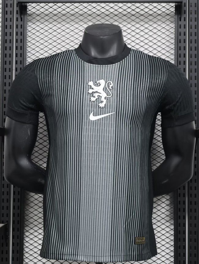 25-26 Netherlands Black Special Edition Player Version Soccer Jersey