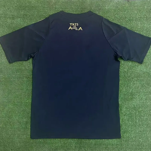 24-25 Algeria Black Special Edition Fans Training shirts