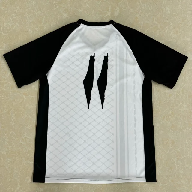 2024 Palestine Fans Version Soccer Jersey