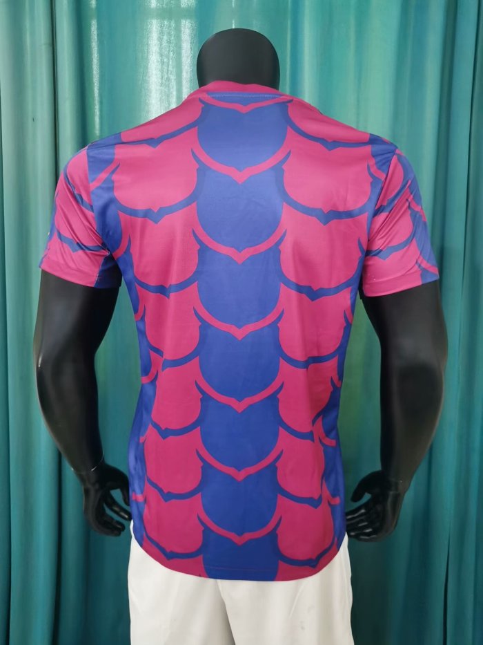 23-24 BAR Special Edition Training shirts