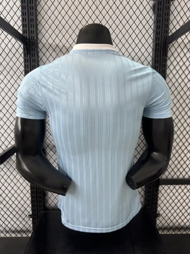 2025 AD Casual Light Blue Player Version Training shirts *三叶草