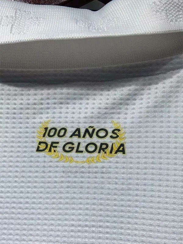 25-26 Colo-Colo 100th Anniversary White Fans Soccer Jersey *蓝队标