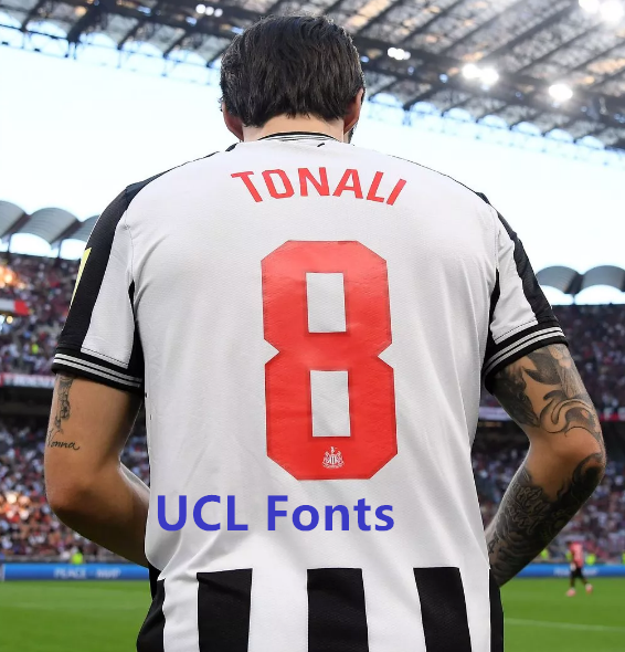 23-24 Newcastle Home Fans Soccer Jersey