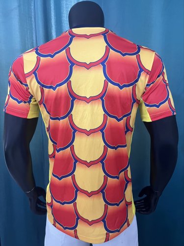 23-24 BAR Special Edition Training shirts