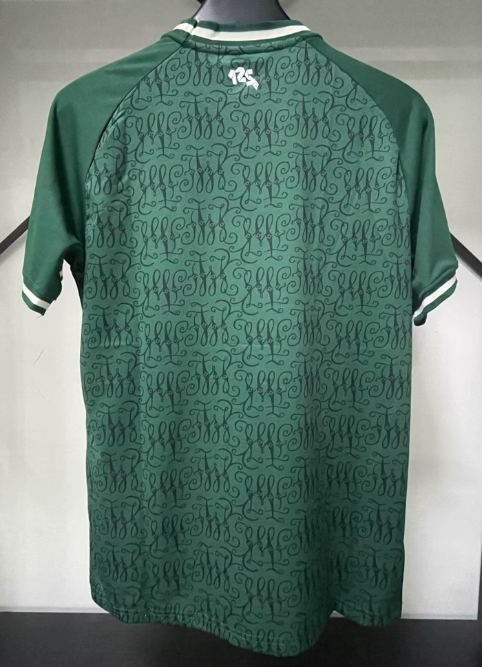 23-24 Werder Bremen 125th Anniversary Edition Fans Soccer Jersey