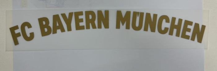 25-26 Bayern Gray 125th Anniversary Fans Version Soccer Jersey