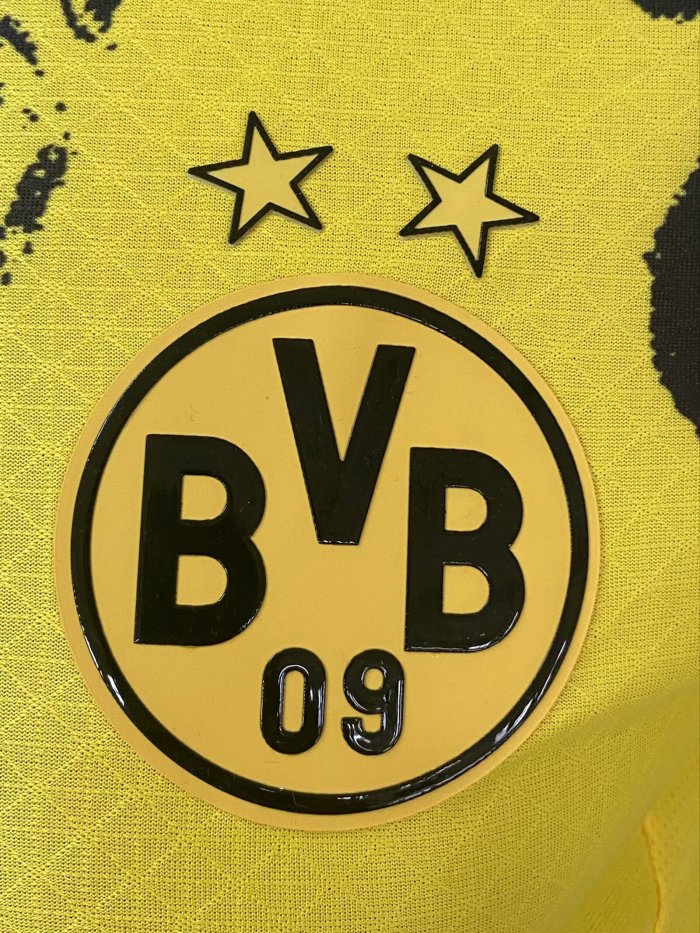 25-26 Dortmund Yellow Black Special Edition Player Version Soccer Jersey