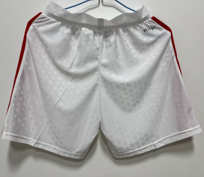 25-26 Benfica Home Player Version Shorts Pants