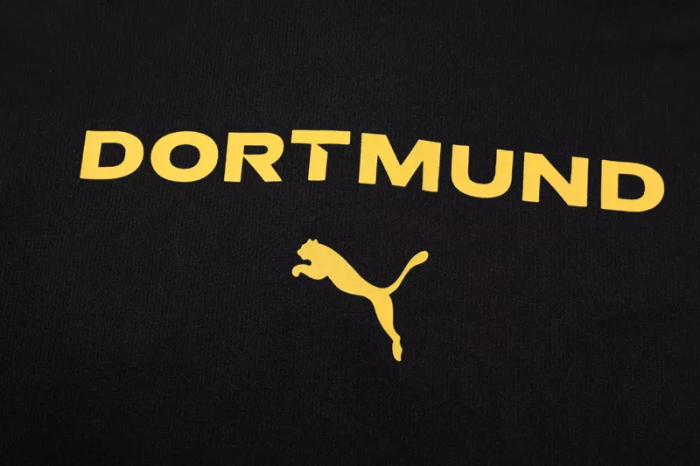 25-26 Dortmund High Quality Polo Tracksuit