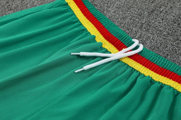 25-26 Cameroon High Quality Training Short Suit