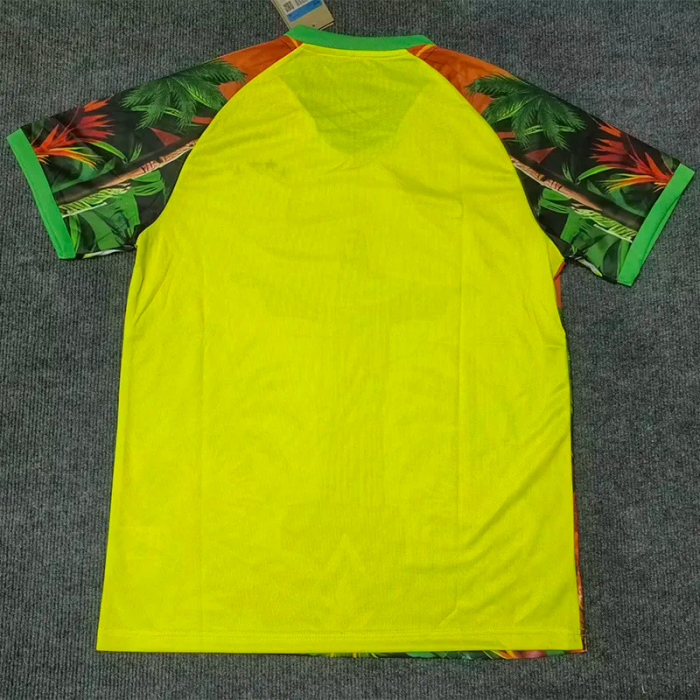 25-26 Brazil Red Yellow Green Special Edition Training shirts 1:1 Thai Quality