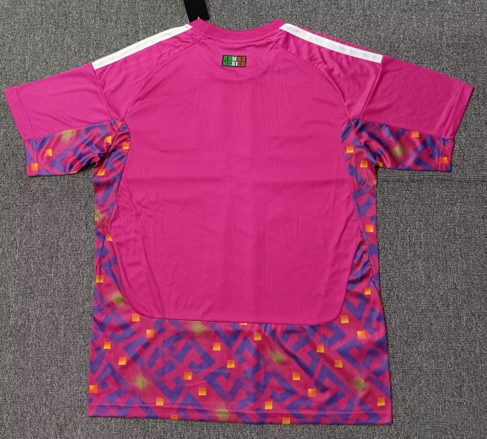 2026 Mexico Pink Red Goalkeeper Soccer Jersey