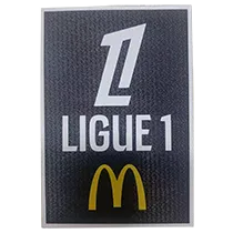 25-26 Lyon Grey Fans Training shirts