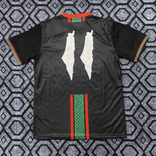 25-26 Palestine Special Edition Fans Soccer Jersey