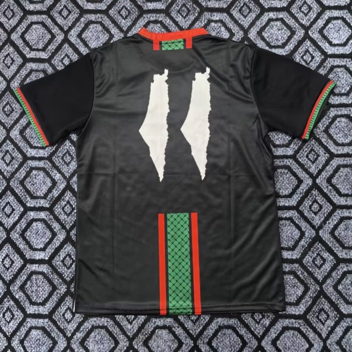 25-26 Palestine Special Edition Fans Soccer Jersey