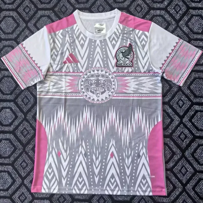 25-26 Mexico Pink Grey Special Edition Training Shirts