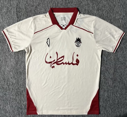 25-26 Palestine Special Edition Fans Soccer Jersey