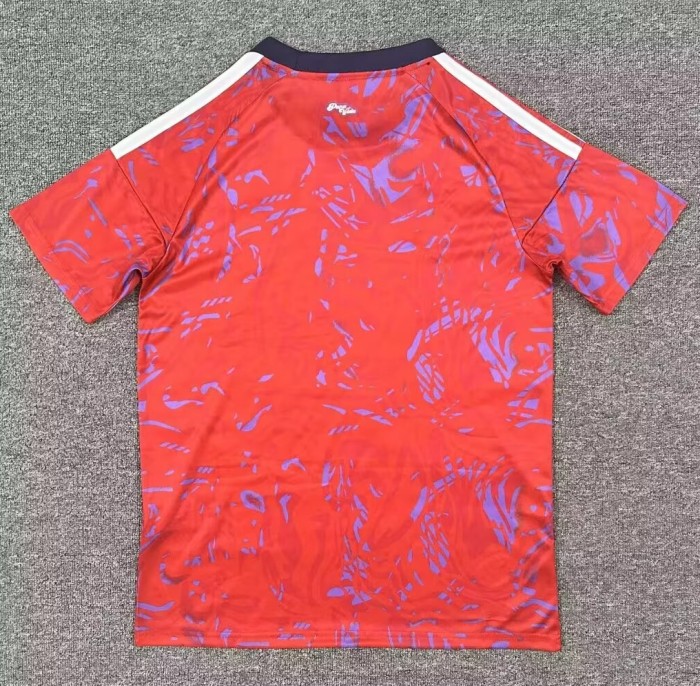 25-26 Costa Rica Home Fans Soccer Jersey