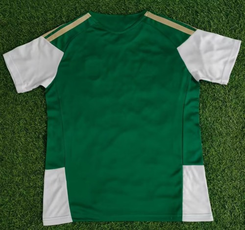25-26 Italy Green Training shirts