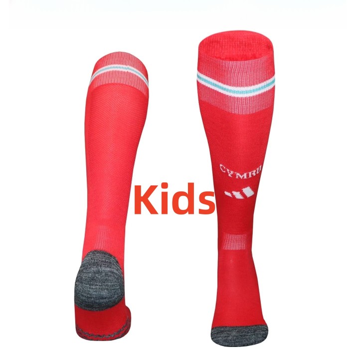 2026 Wales Home Kids Socks