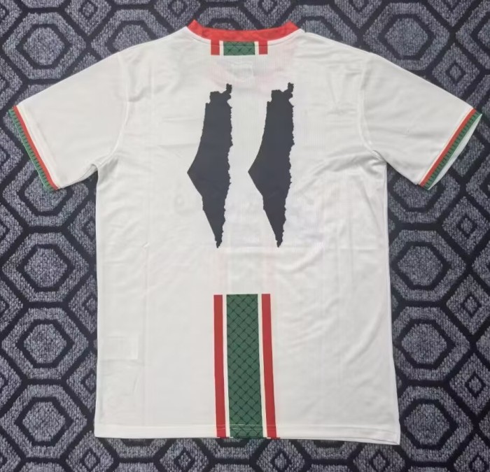 25-26 Palestine Special Edition Fans Soccer Jersey