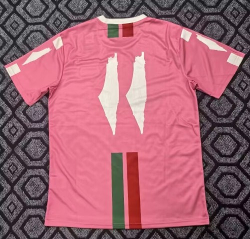 25-26 Palestine Special Edition Fans Soccer Jersey