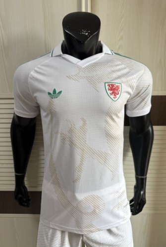 2026 Wales Away Player Version Soccer Jersey