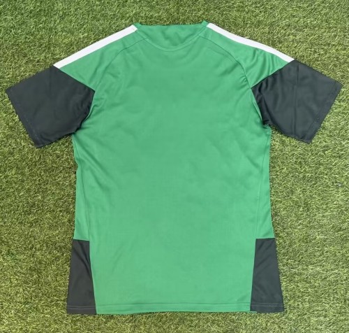 25-26 Algeria Green Special Edition Fans Training shirts
