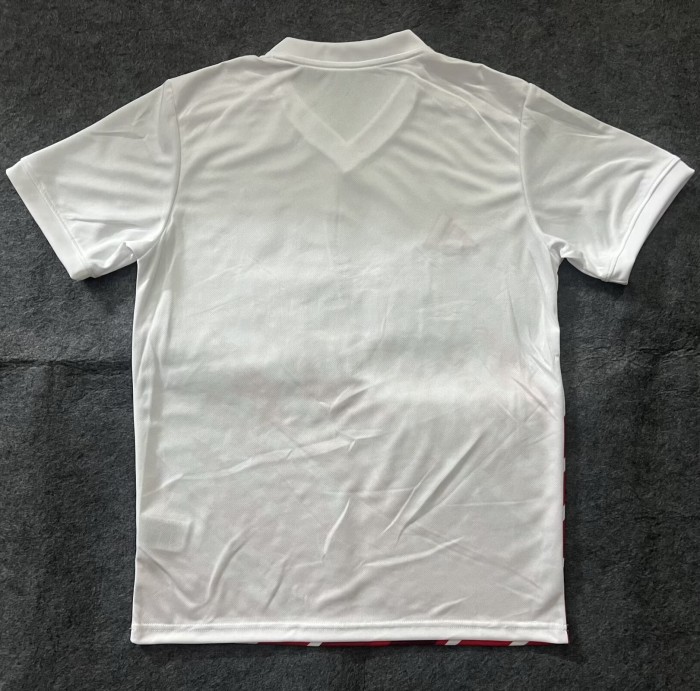 25-26 Benfica Special Edition White Training shirts