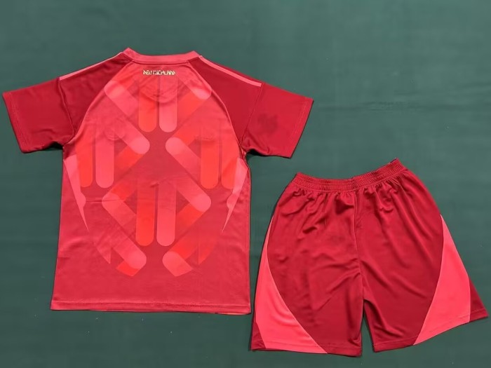 2025 Germany Away Adult Suit*四颗星