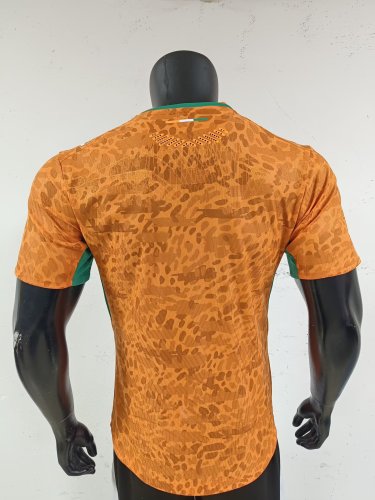 2026 Cote d'Ivoire Home Player Version Soccer Jersey