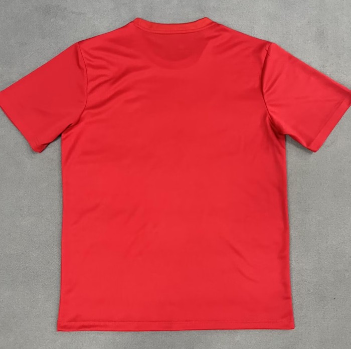 25-26 Toluca Special Edition Fans Soccer Jersey