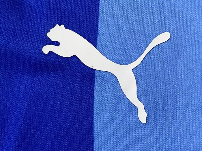 25-26 Chivas 110th Anniversary Commemorative Edition Away Long Sleeve Fans Soccer Jersey