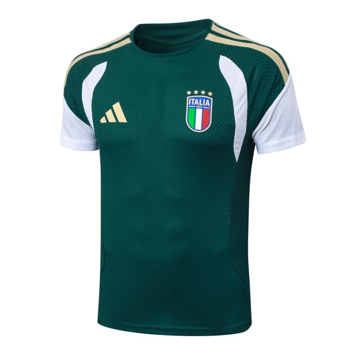 2026 Italy Green High Quality Player Version Training Short Suit (球员套装)