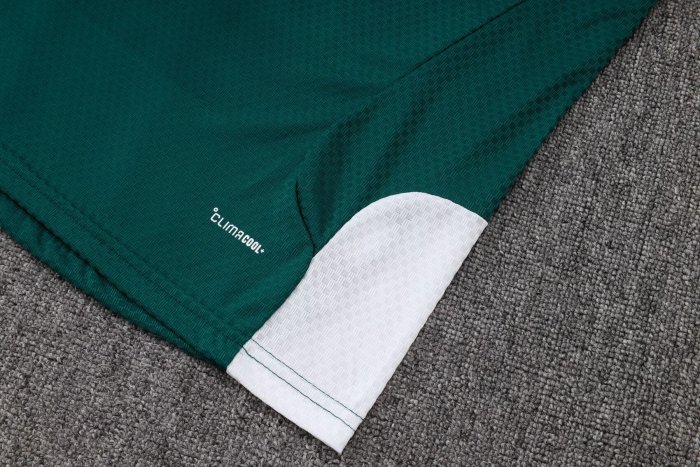 2026 Italy Green High Quality Player Version Training Short Suit (球员套装)