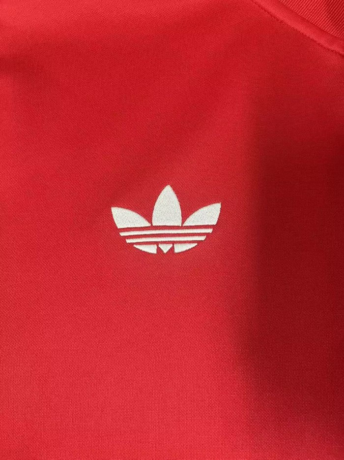 2026 Wales High Quality Jacket Tracksuit